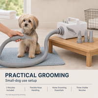 Sèche-cheveux pour animaux de compagnie, haute puissance, fonctionnement silencieux avec protection contre la surchauffe pour chiens et chats de grande race, 220V, séchage du pelage