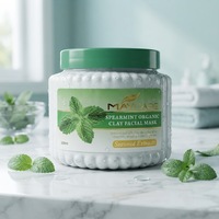 OEM Menthe Verte Rafraîchissante Exfoliante Élimine les Peaux Mortes Éclaircissante Hydratante Masque Exfoliant à l'Argile Visage et Corps pour Hommes et Femmes