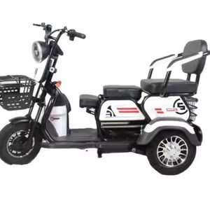Tricycle électrique à batterie pour adultes à 3 places, 48V, véhicule de loisirs urbain, ouvert / Certificat EEC, vélo cargo - Product Image 5