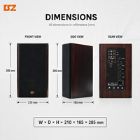 Sistema de PA DSZ DS-115Y de 50W para Metal con Woofer de Rango Completo de 4.5 Pulgadas para Educación Musical en el Aula