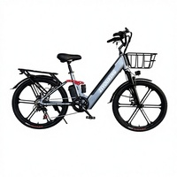 Usine directe 26 pouces 48v 250w moteur vélo électrique Zeegr montagne EBike Dirt Bike avec frein à disque gros pneu 36v vélo électrique