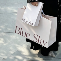 Sac cadeau de luxe en papier d'art avec poignée en ruban pour bijoux de mariage, montres et lunettes, idéal pour la vente au détail, avec papier de soie