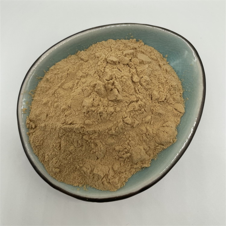 Экстракт розмарина порошок 5% 35% 50% 80% CAS 20283-92-5 розмариновая кислота
