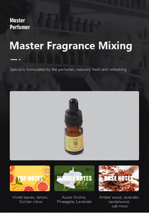 Diffuseur de <span class=keywords><strong>parfum</strong></span> de luxe pour voiture, haute qualité, portable, en forme de barre d'or, petit format, personnalisable, vente en gros, cadeau d'aromathérapie - Product Image 6