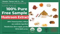 Crinière de lion, Reishi, Cordyceps, Maitake, Shiitake, Queue de dinde, Extrait de champignon Chaga 6 en 1