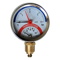 Double Needle Industrial Thermometer Water Pressure and Temperature Combination Gauge OEM/ODM Customizable IP65 Metal