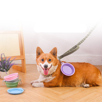 Bol à eau pour chien en Silicone pliable Portable pour Camping marche voyage en plein air bols d'alimentation pour chat en bois et plastique pour animaux de compagnie