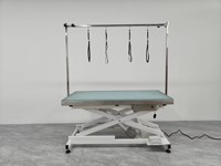 MT Table de toilettage électrique élévatrice pour animaux de compagnie avec lumière LED Table de toilettage pour hôpital ou animalerie Offre Spéciale