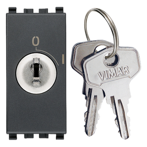 Interruttore a chiave Vimar 16A 2P grigio con chiavi per controllo elettrico - Product Image 1