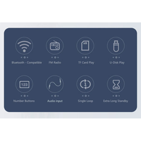 Radio portable stéréo 3W avec écran LCD ABS, recharge solaire, Bluetooth, lecture USB et carte TF pour l'extérieur, la maison et les loisirs