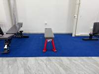 Banc de musculation professionnel robuste, avec coussin épais en PU, design plat fixe, pour musculation et levage de poids.