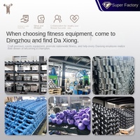 Kettlebell en fonte colorée avec revêtement par pulvérisation électrostatique givré et anneau de gym – Usage commercial, fourniture directe d'usine chinoise