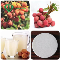 B.c.i Levert Hete Verkoop Instant Vaste Dranken Lychee Lychee Fruitpoeder Lychee-Sappoeder