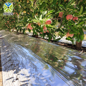 Película Reflectante Agrícola Metalizada de 14-20 micras Utilizada para Huertos de Manzanas - Product Image 6
