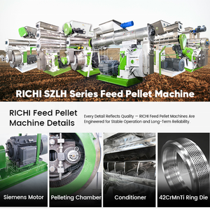 Máquina de Producción de Alimento para <span class=keywords><strong>Pollos</strong></span> <span class=keywords><strong>RICHI</strong></span> - Máquina de Fabricación de Pellets de Alimento de Acero Inoxidable 304 para <span class=keywords><strong>Pollos</strong></span> - Product Image 5