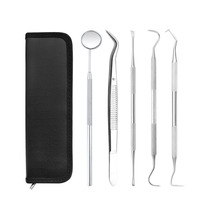 Kit d'outils dentaires en acier inoxydable pour le nettoyage des dents, détartreur, cure-dents, pinces, éliminateur de plaque et de tartre, ensemble de soins bucco-dentaires avec sac de rangement