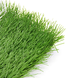<span class=keywords><strong>Gazon</strong></span> artificiel de football en PE diamanté certifié SGS, résistant aux UV, pour terrains de sport haut de gamme - Product Image 3