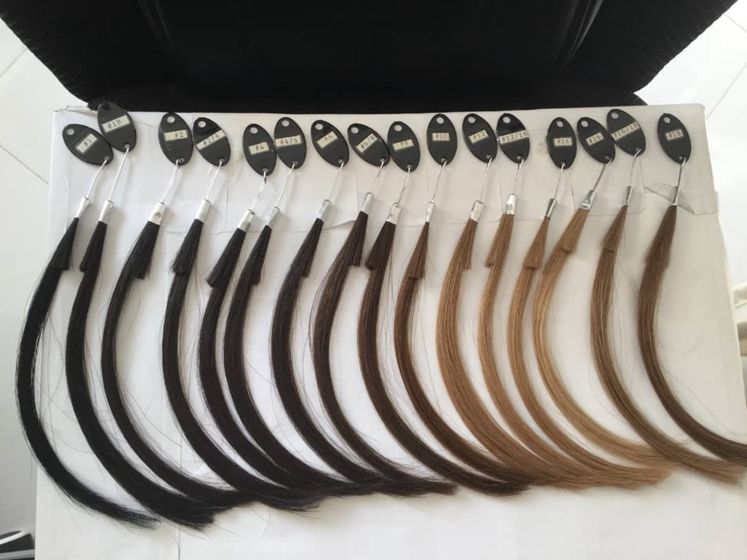 ตามที่แสดง