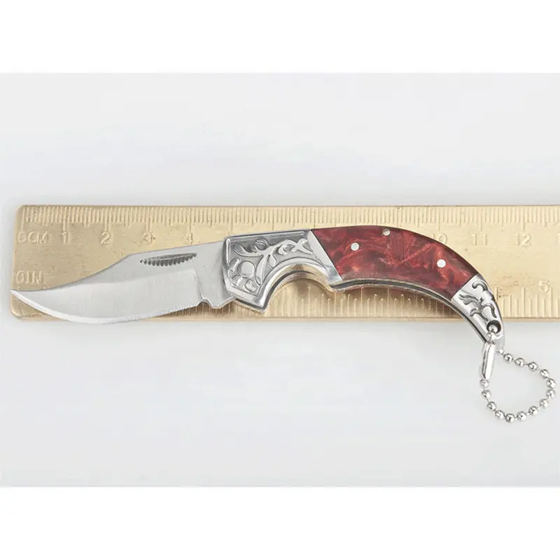 Amazon Best Selling Gift Souvenir Hiking Hunting Steel Acrylic Key Chain Fruit Folding Survival Knife