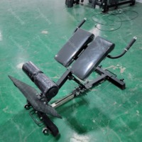 Équipement de gymnastique commerciale Extension arrière multifonctionnelle Banc assis réglable à 45 degrés Chaise romaine