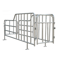 Enclos de gestation en acier galvanisé facile à nettoyer et confortable pour truies, avec sol en PVC, résistant à la rouille et robuste, pour élevage porcin