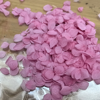 Kelopak Bunga Hydrangea Konfeti, Kelopak Bunga Kering untuk Dekorasi Pernikahan, Kelopak Mawar Merah Kering dalam Jumlah Besar untuk Dekorasi Pernikahan