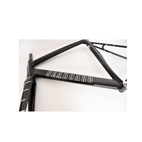 Vente en gros Cadre de VTT en alliage de titane pour BMX Freestyle et Road Cruisers