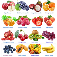 Poudre de jus de fruit Rainbow Supply, poudre de litchi/litchi en poudre/poudre de litchi lyophilisée de la meilleure qualité