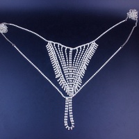 Cadena de Joyería Corporal de Moda para Mujeres y Niñas, con Cristales de Corazón Sexys, para Bikini con Aros y Tanga, Joyería de Tela para Club Nocturno