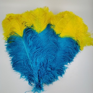 <span class=keywords><strong>Plumas</strong></span> <span class=keywords><strong>de</strong></span> Avestruz <span class=keywords><strong>de</strong></span> Color Bicolor <span class=keywords><strong>con</strong></span> Punta <span class=keywords><strong>de</strong></span> 60-65 cm para Disfraces <span class=keywords><strong>de</strong></span> <span class=keywords><strong>Carnaval</strong></span>, <span class=keywords><strong>Tocados</strong></span>, Mochilas y Decoraciones - Product Image 2