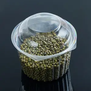 High Quality Round PET Plastic Fruit Bowl Transparent Salad To Go Packaging Container With Dome Lid For Food Packaging