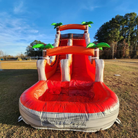 Toboggan gonflable commercial Castello Combo marbre Tropical Waterslide événements extérieurs Castello Toboggan gonflable