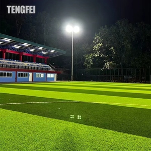 Tengfei prezzo di fabbrica di vendita calda alta albero di illuminazione solare <span class=keywords><strong>Led</strong></span> luce alta albero per autostrada - Product Image 6
