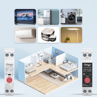 Interrupteur intelligent WiFi EWeLink 1P+N, disjoncteur MCB, compteur Kwh, relais temporisé avec télécommande pour bâtiment commercial Chayo