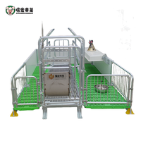 Cages de maternité complètes pour truies, fabriquées en Chine, pour l'accouchement et l'élevage de porcs, vente directe pour usage agricole