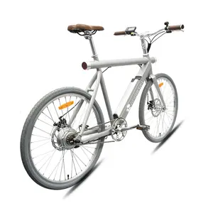 Ansbern-Bicicleta eléctrica de ciudad clásica, de litio, barata, 36V350W10.4Ah, 2020