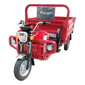 Barato E-Trikes 3 ruedas de carga eléctrica Pedicab Trimoto De Carga para llevar mercancías - Product Image 1