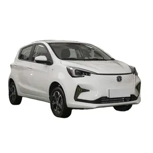 Changan Benben E-Star 2023 modèle Qingxin version coloré modèle ternaire lithium EV voiture