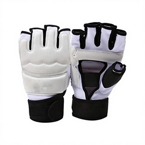 ถุงมือฝึกเทควันโด - Product Image 1