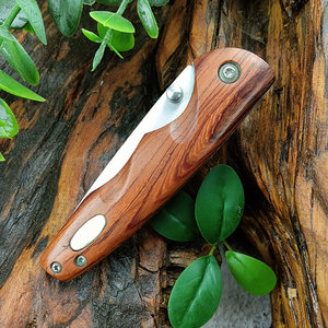 Vendita calda da campeggio portatile Mini coltello pieghevole in acciaio inox con manico in legno coltelli da sopravvivenza strumento EDC - Product Image 5