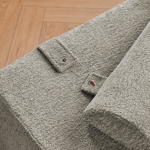 โซฟาเบดแบบนั่งเดี่ยวทรงสี่เหลี่ยมสไตล์โมเดิร์นกลางศตวรรษ หุ้มด้วยผ้ากำมะหยี่สีเทาอ่อนแบบอัดแน่น เป็นมิตรกับสิ่งแวดล้อม พร้อมหมอนสำหรับห้องนั่งเล่น - Product Image 5