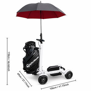 US Stock Free Shipping <b>Foldable</b> Golf Scooter 4 Wheel <b>Cart</b> With Removable Battery M12-3 Mobility Golf Skateboard M12-3 - Product Image 2