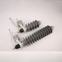 Parafoudre extérieur en gel de silicone avec bornes métalliques pour réseaux de distribution d'énergie haute tension 11kV-36kV