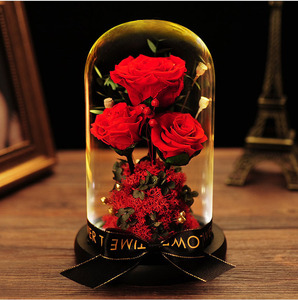 Rose éternelle sous dôme de verre comme la belle et la bête, fleur romantique, cadeau d'anniversaire, mariage, de qualité supérieure, D050864 - Product Image 5