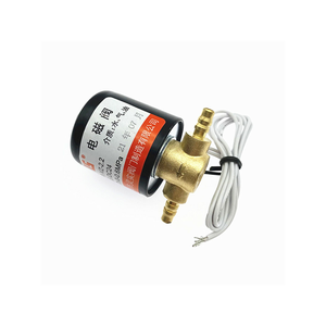 Válvula Solenoide Eléctrica Duradera VZ/2.2 DC24V 0/0.8MPa con Cuerpo de Latón, Válvula Magnética para Control de Agua, Gas y Aceite, Repuesto - Product Image 4