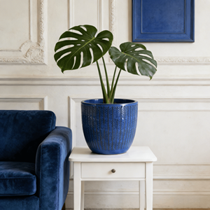 Ensemble de pots de fleurs en céramique émaillée bleu cobalt, motif épi de blé en relief, écologiques, pour intérieur et extérieur, avec trou de drainage pour la décoration de jardin - Product Image 2