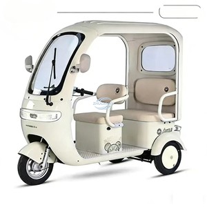 Leisure Electric Tricycle 3 <b>Wheel</b>, Dual Purpose Passenger Cargo Scooter for Children School Pickup Cross-border Wholesale - Product Image 1