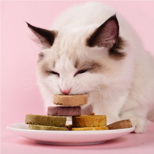 Friandises pour chats <span class=keywords><strong>bio</strong></span> lyophilisées à base de protéines de poulet et de bœuf, viande et os avec vitamines et minéraux (en forme de tarte) - Product Image 3