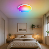 Plafonnier intelligent Tuya à éclairage latéral RGBWC 24W 1920LM, large plage de tension, WiFi, Bluetooth, compatible Alexa et Google