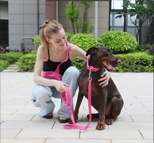 Customised Corduroy <b>Dog</b> Leash <b>Collar</b> Harness Set 2025, Classic Walking Fanny Pack + Poop Bag Dispenser Bundle - Product Image 5